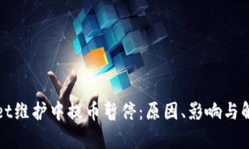 tpWallet维护中提币暂停：原因、影响与解决方案